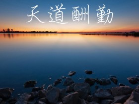 关于芙容外贸学习网站